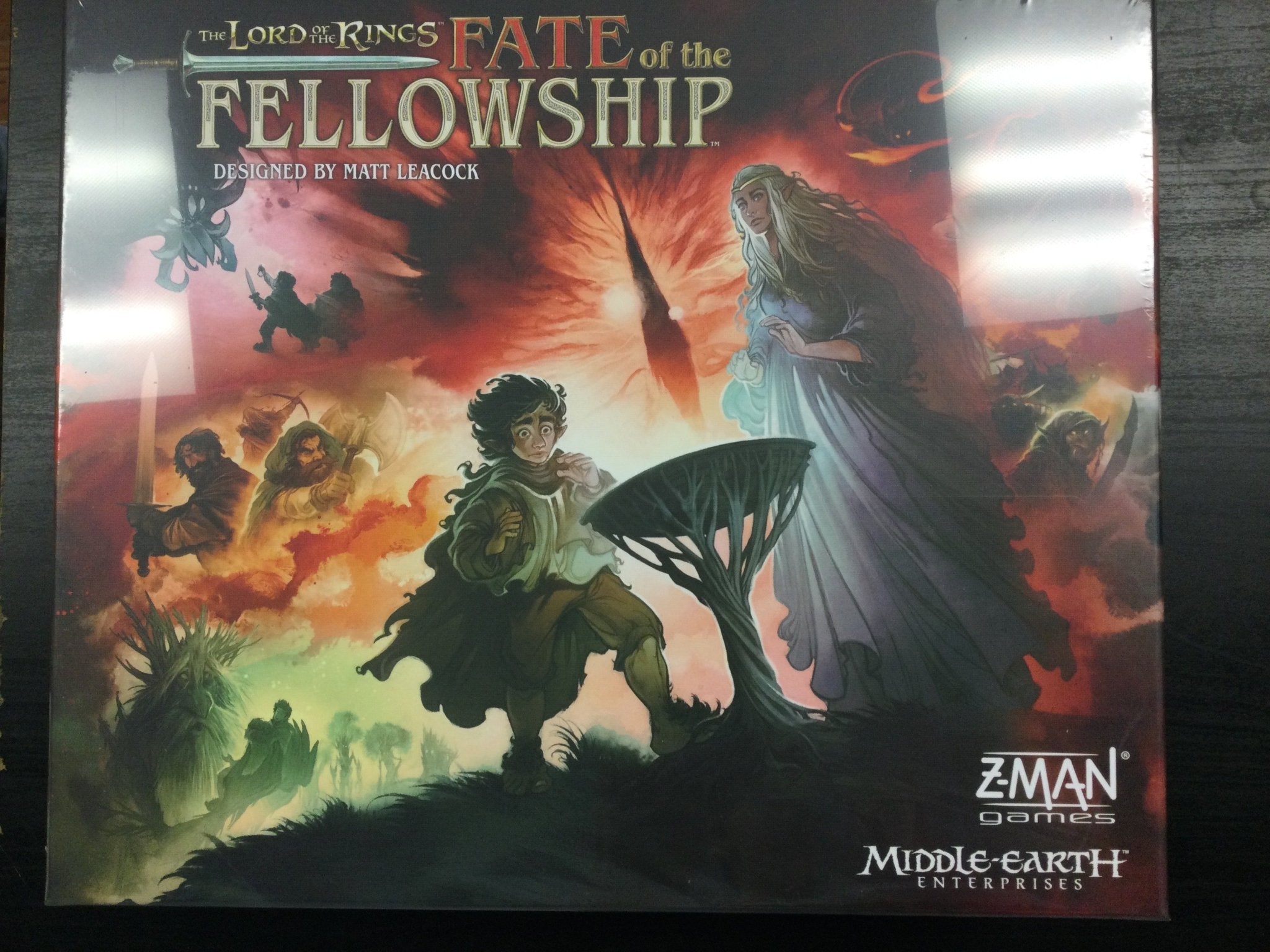 The Lord Of The Rings Fate Of The FellowShip -